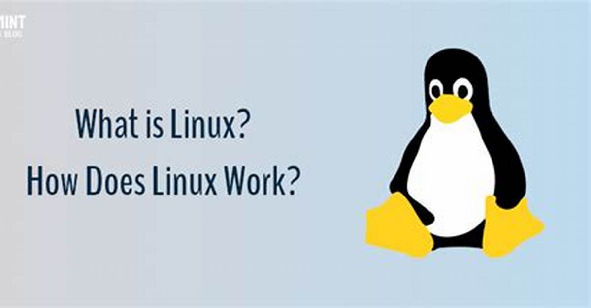 Frequent Question: How Does Linux Work on Chromebook?