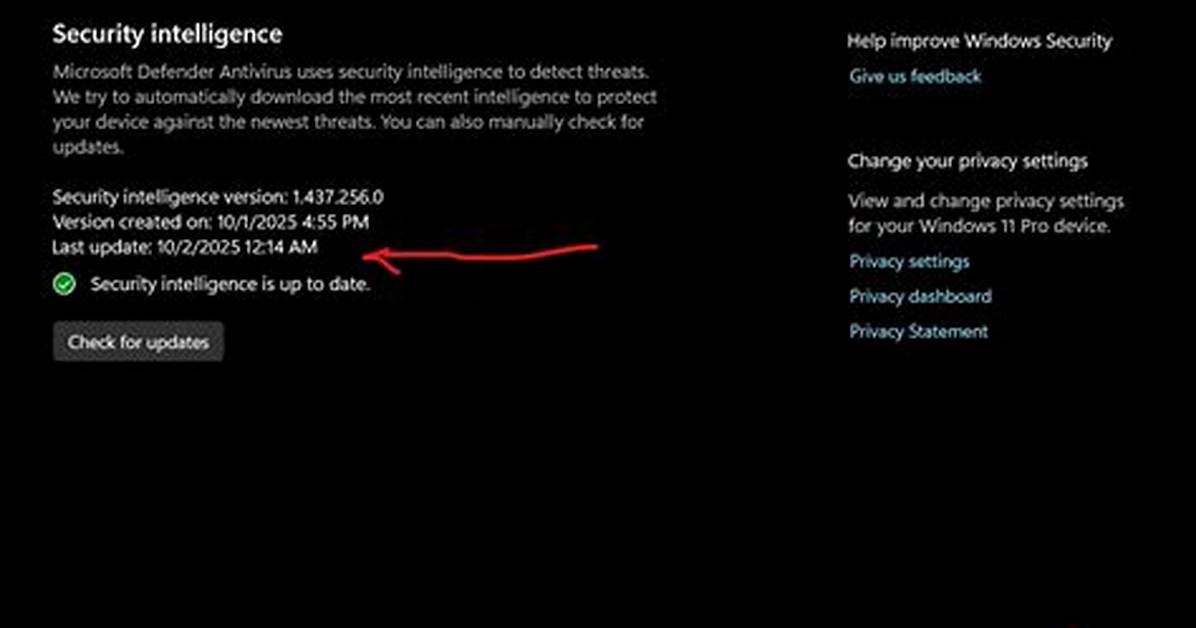 Frequent Question: How Often Is Windows Defender Update?