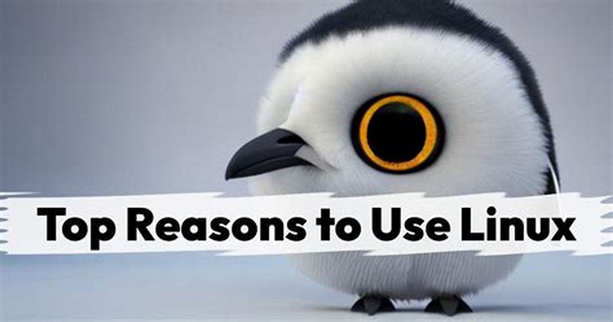Frequent Question: Should I Use Linux as a Programmer?