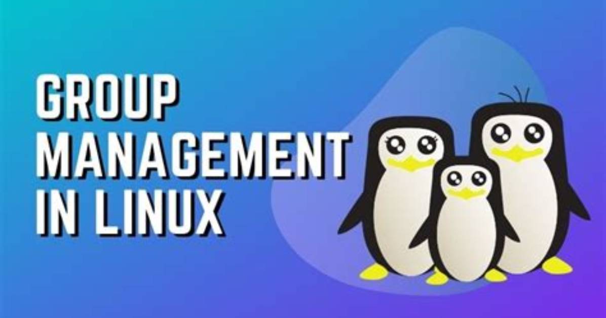 Frequent Question: What Is Primary Group Linux?