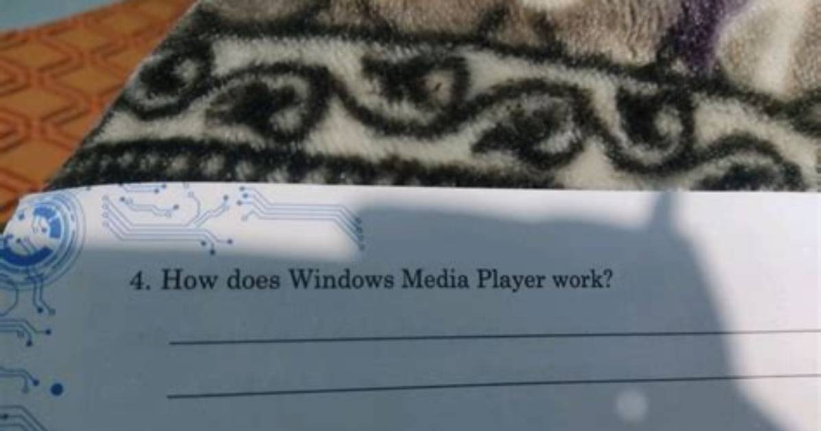 Frequent Question: Will Windows Media Player Work on Windows 10?