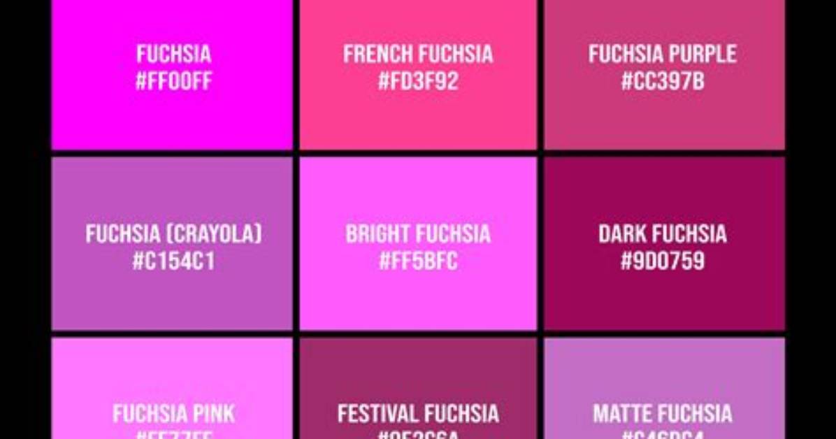 Fuchsia Color
