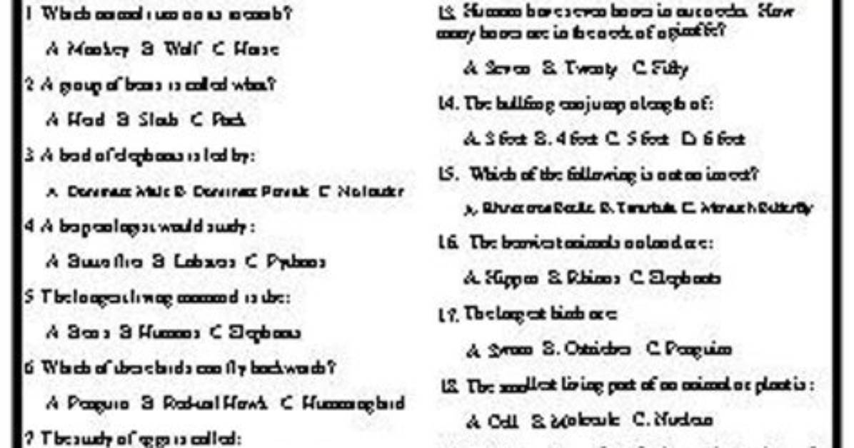 Fun Feud Trivia: Name an Animal That Weighs a Lot