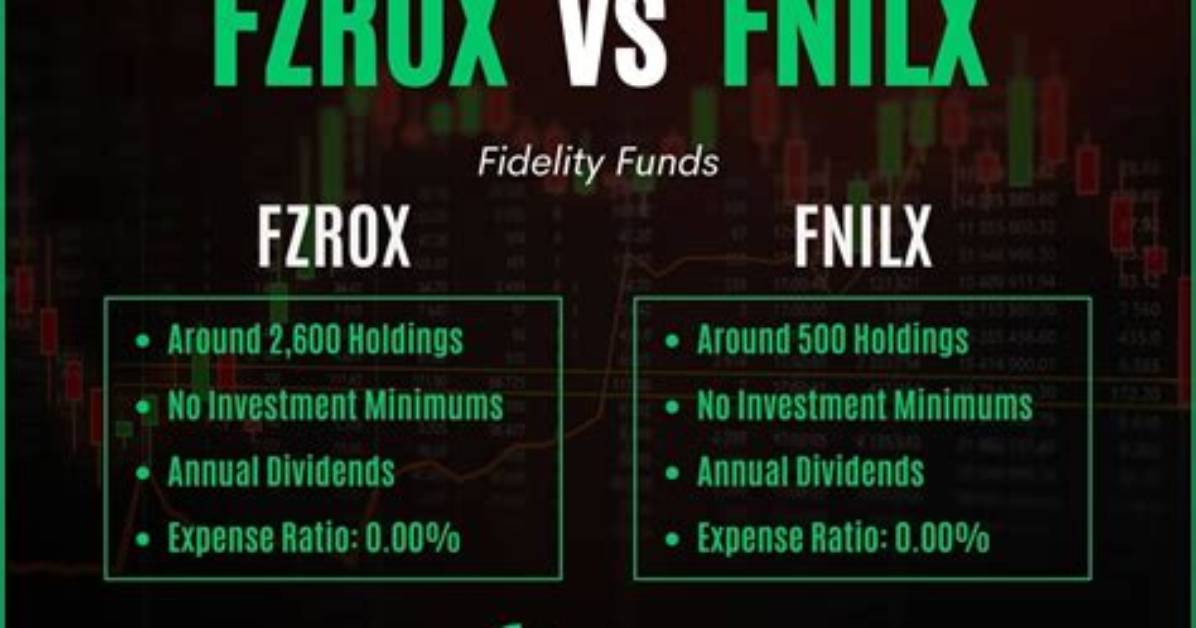 Fzrox Vs. Xyld – a Comprehensive Comparison
