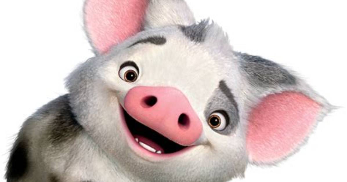 Generic Pua Dd (Pua)