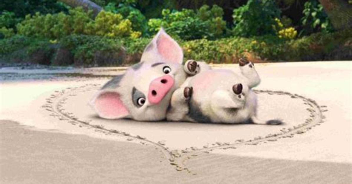 Generic Pua Pc (Pua)