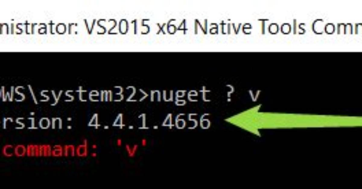 Get Nuget. Exe Version from Command-Line