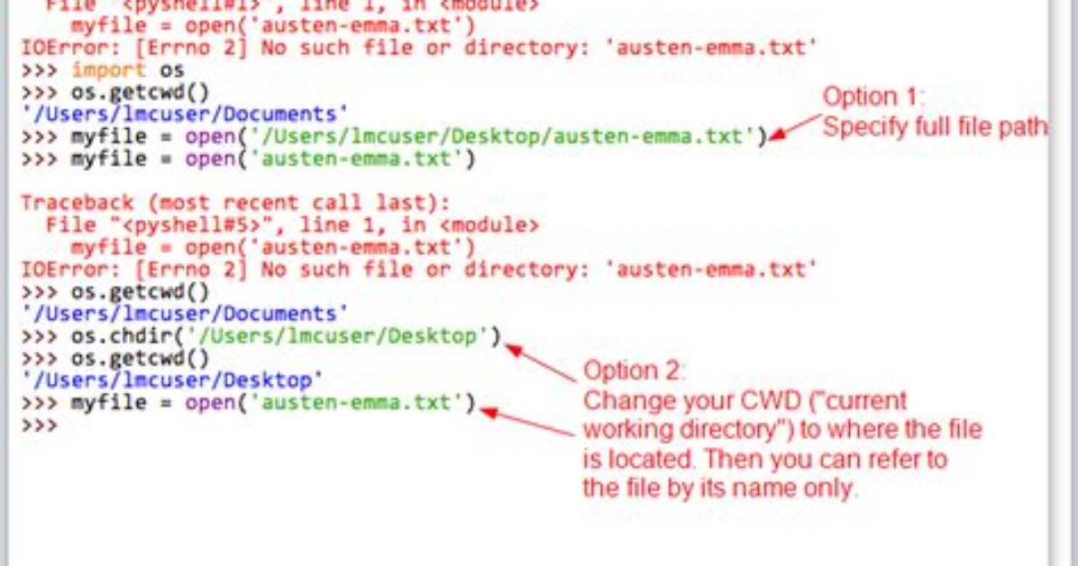 Get Path from Open File in Python