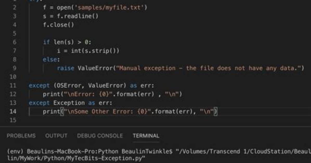 Getting the Exception Value in Python