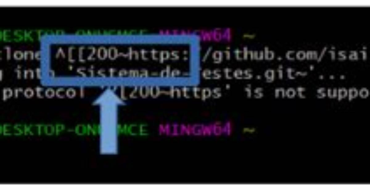 Git Fatal: Protocol 'Https' Is Not Supported
