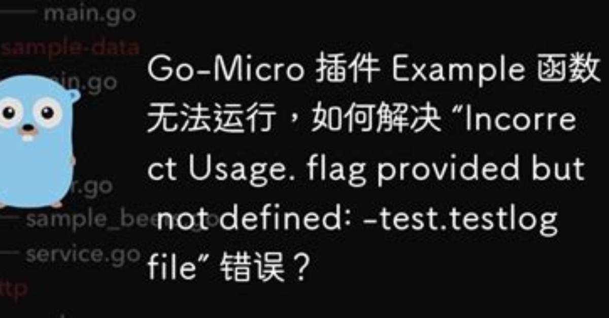 Go Test Flag: Flag Provided but Not Defined