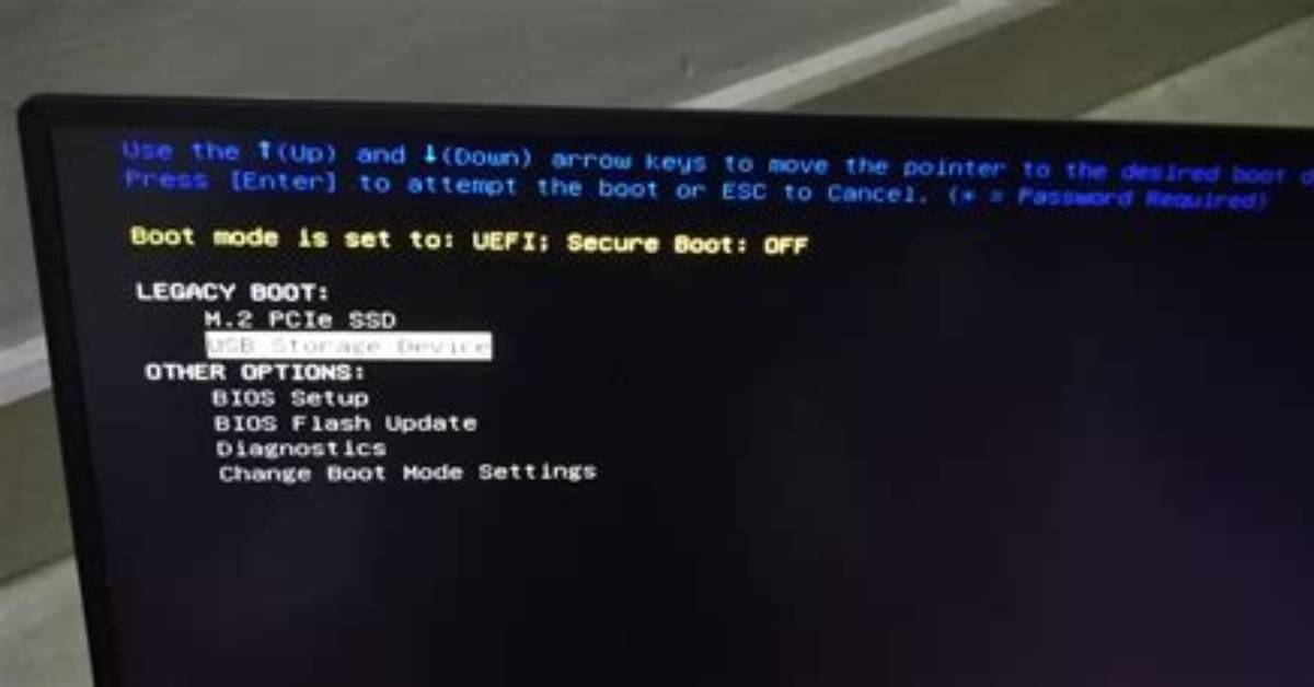 Gpt Detected. Please Create a Bios-Boot Partition