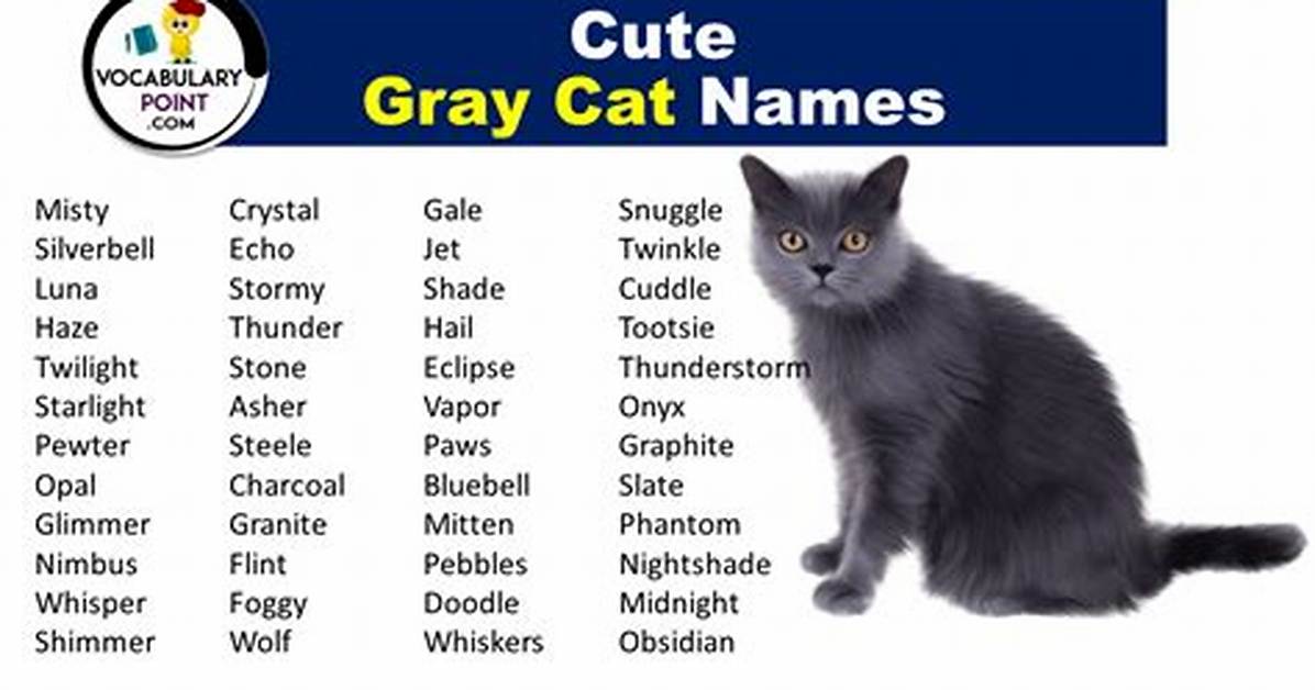 Gray Cat Names | Nameberry