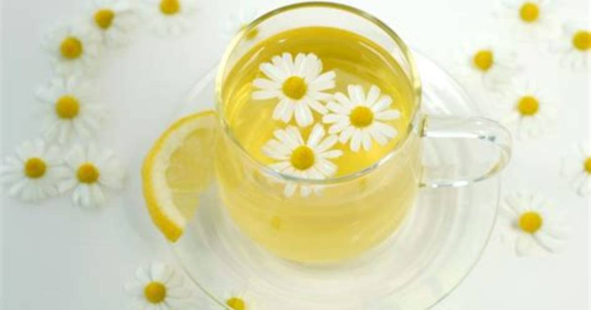 Green, Chamomile and More Teas for Relaxation