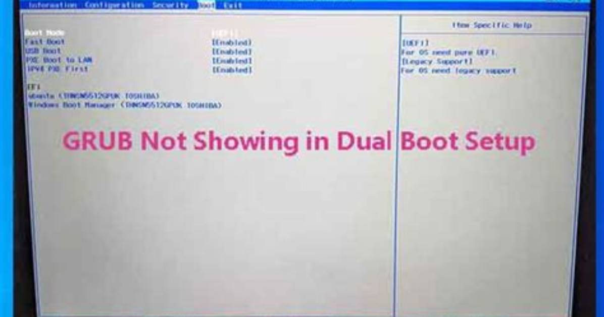 Grub Image Not Found