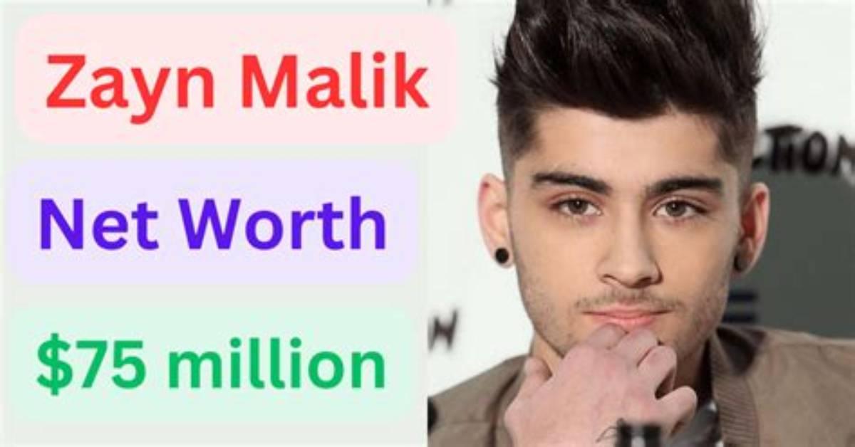 Handsome Malik Net Worth