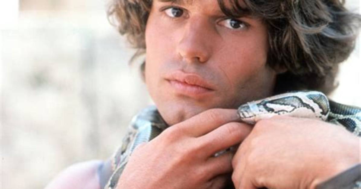 Harry Hamlin