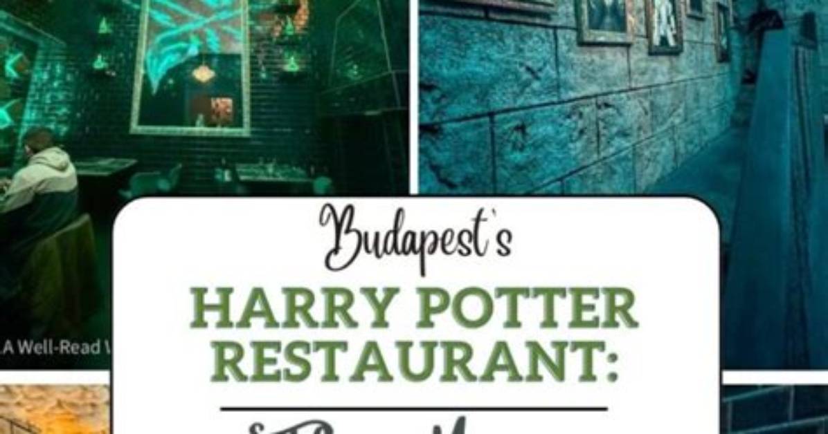 Harry Potter Restaurant Delhi, Latest Free Online Harry Potter Movies, Best Hd Videos You Should Watch in 2022 – 2023