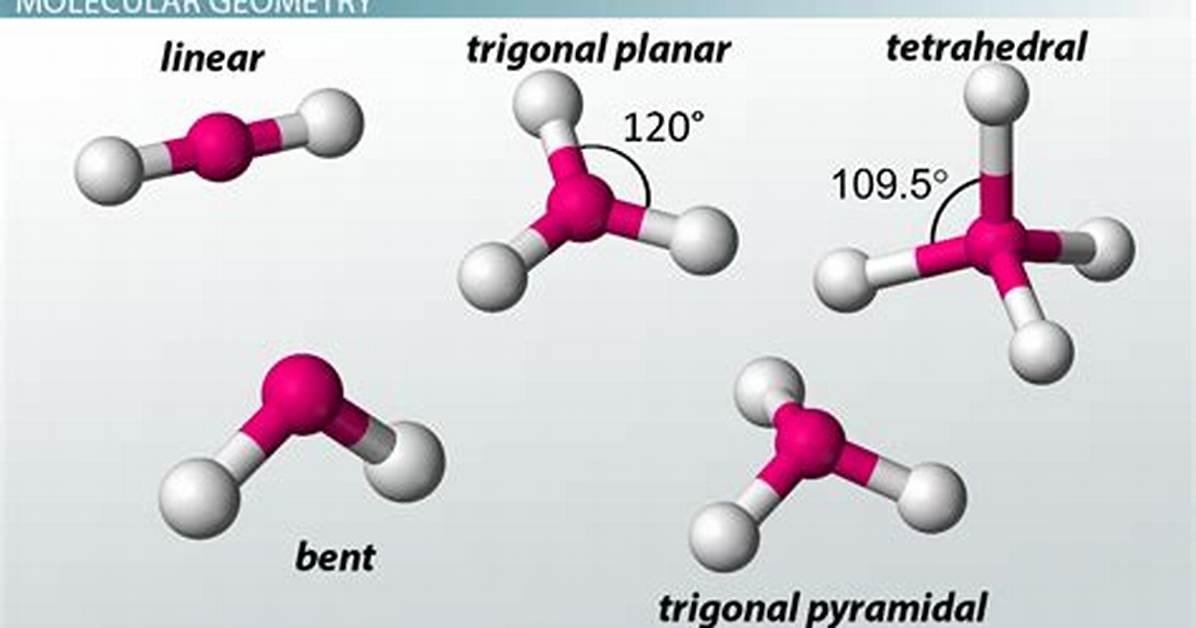 Has a Trigonal Pyramidal Shape?