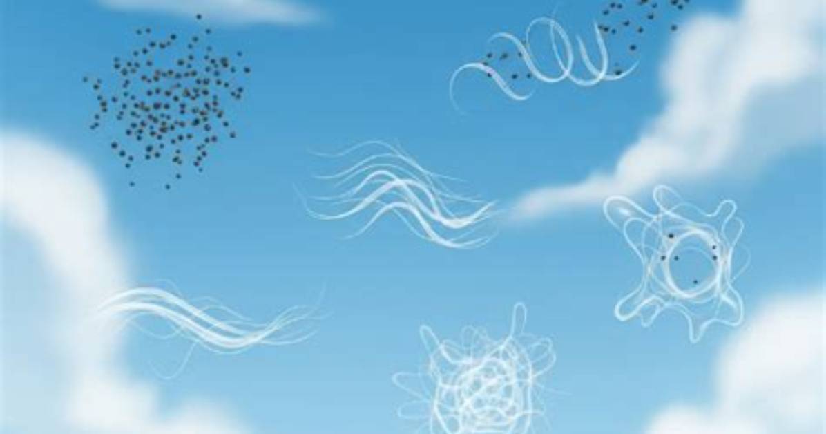 Has Anyone Cured Eye Floaters?
