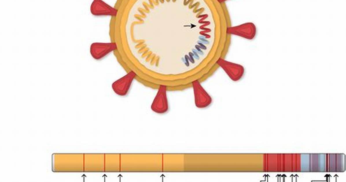 Has Covid 19 Mutation Uk?