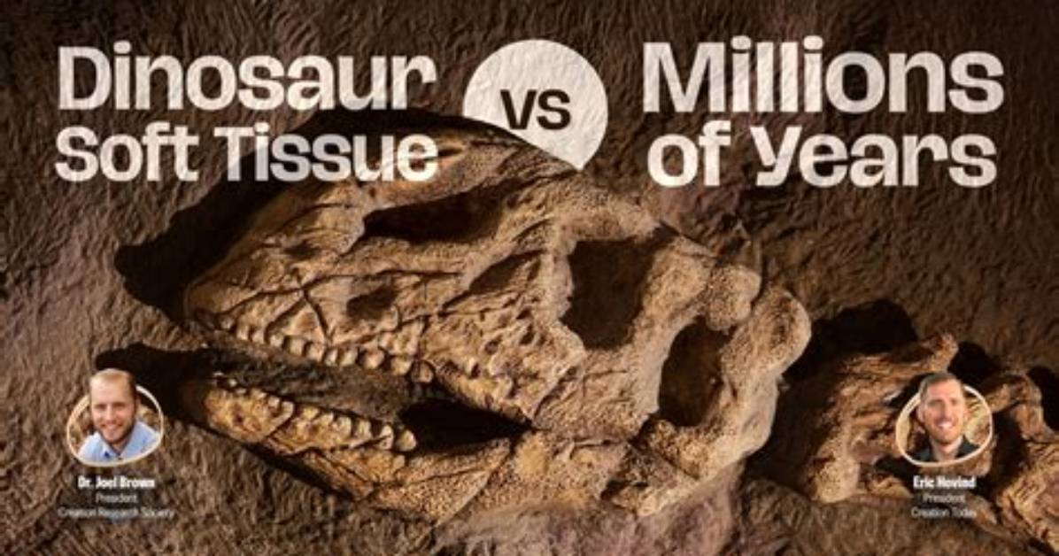 Has Dinosaur Tissue Been Found