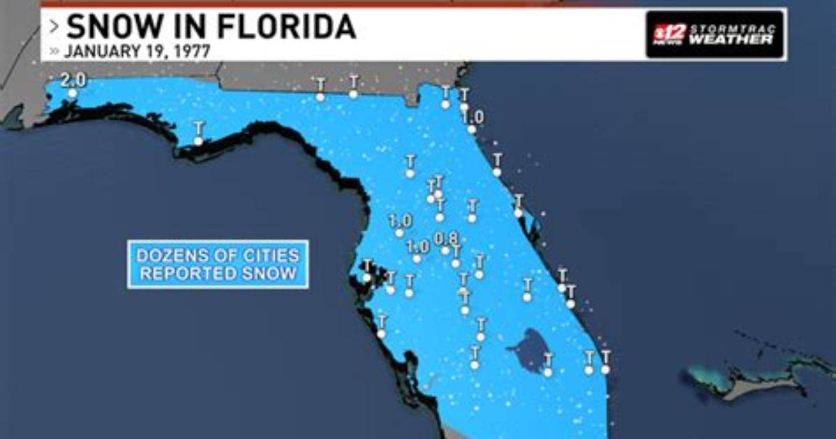 Has Florida Ever Snowed?