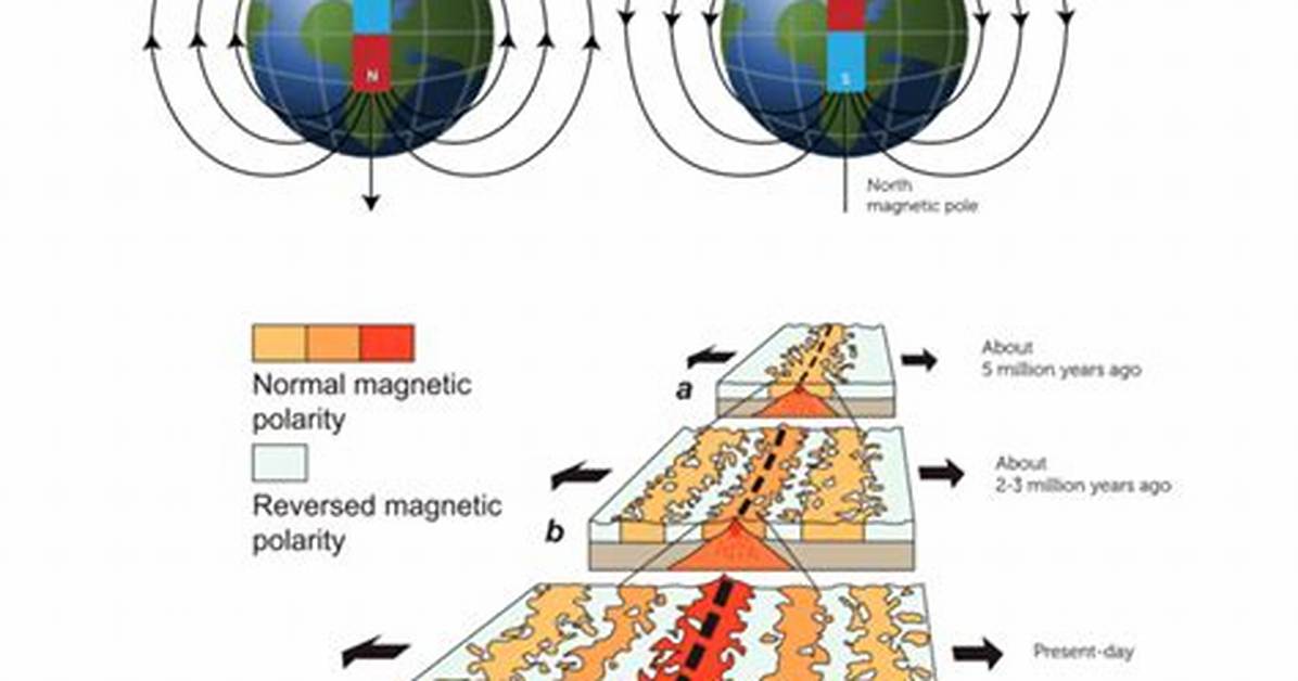 Has Magnetic Pole Reversals?