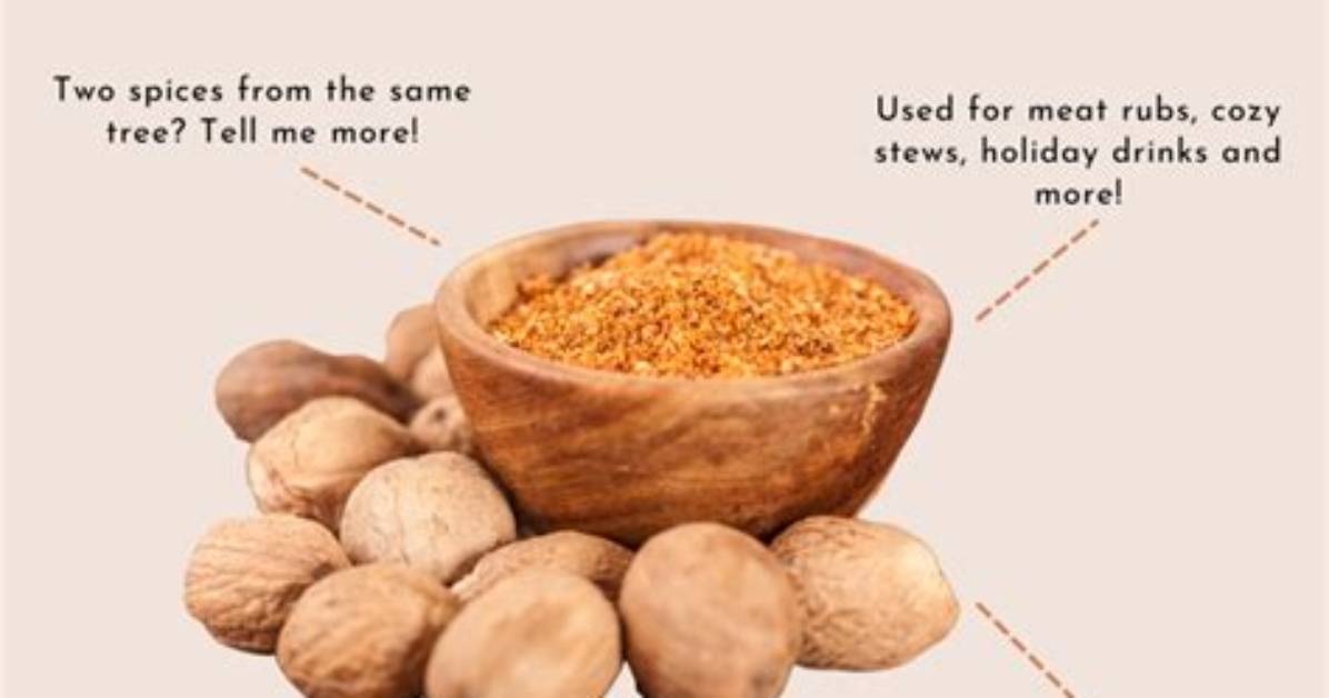 Has Nutmeg Got Nuts in It?