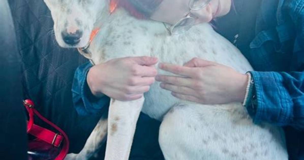 Has Perdita Been Adopted?
