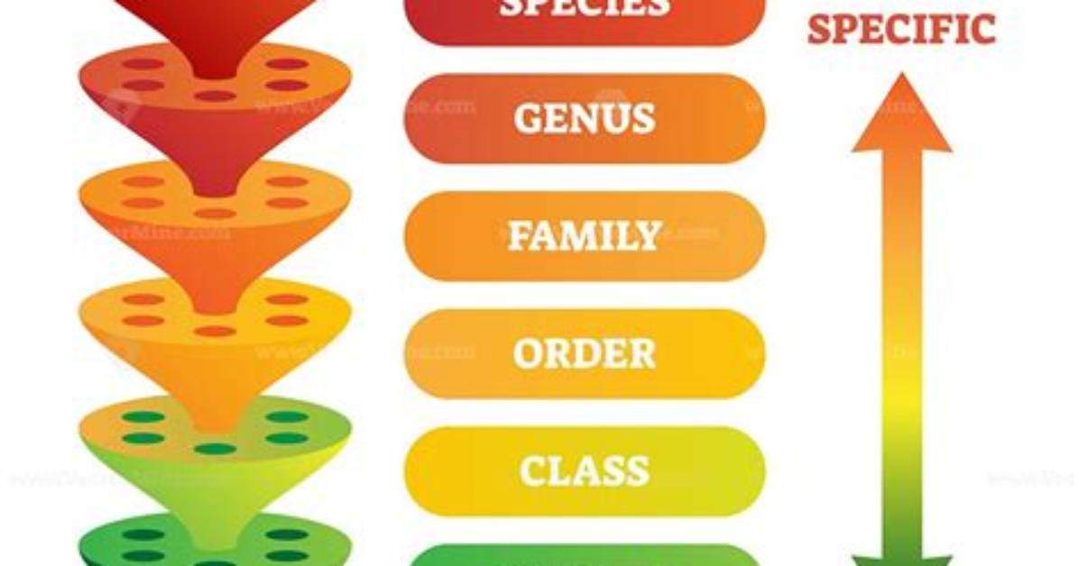 Has the Classification System Changed Since 1950?