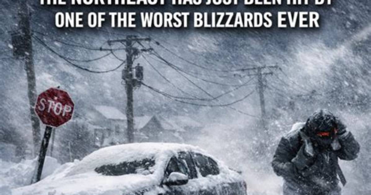 Has the Most Blizzards?