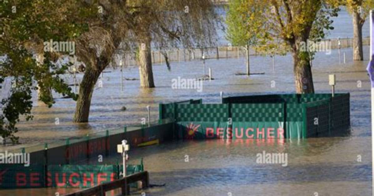 Has the Rhine Flooded?