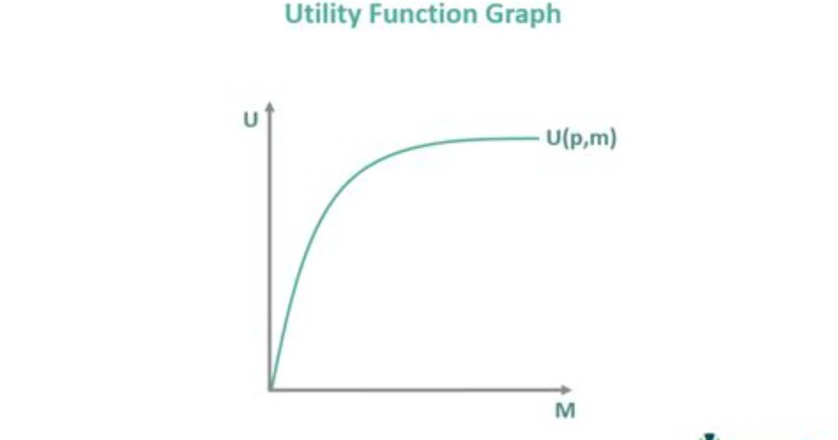 Has the Utility Function?
