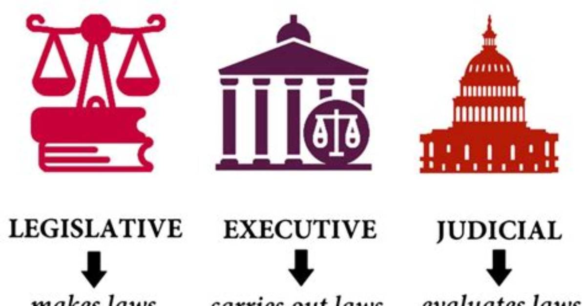 Has Three Main Branches?