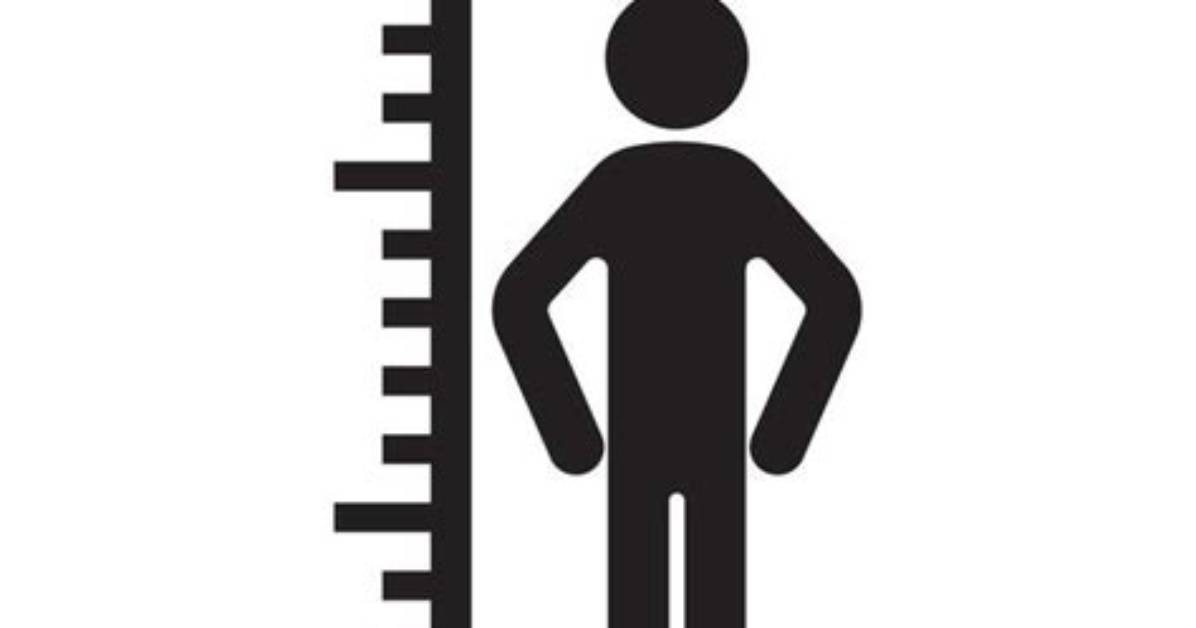 'Height' Must Be a Vector or a Matrix. Barplot Error