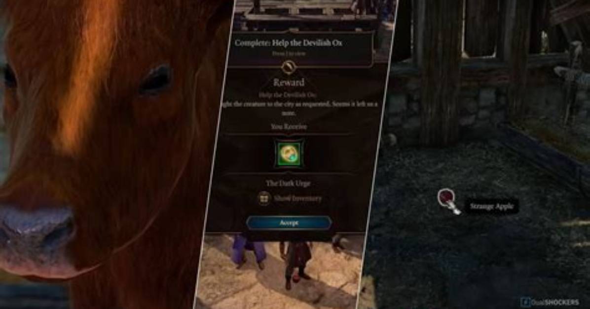 Help the Devilish Ox, Baldur's Gate 3 Quest