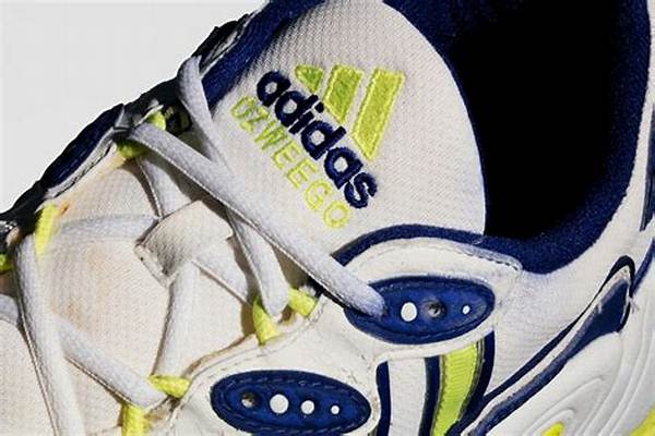 Here's How the Adidas Ozweego Evolved from 1996 to 2019