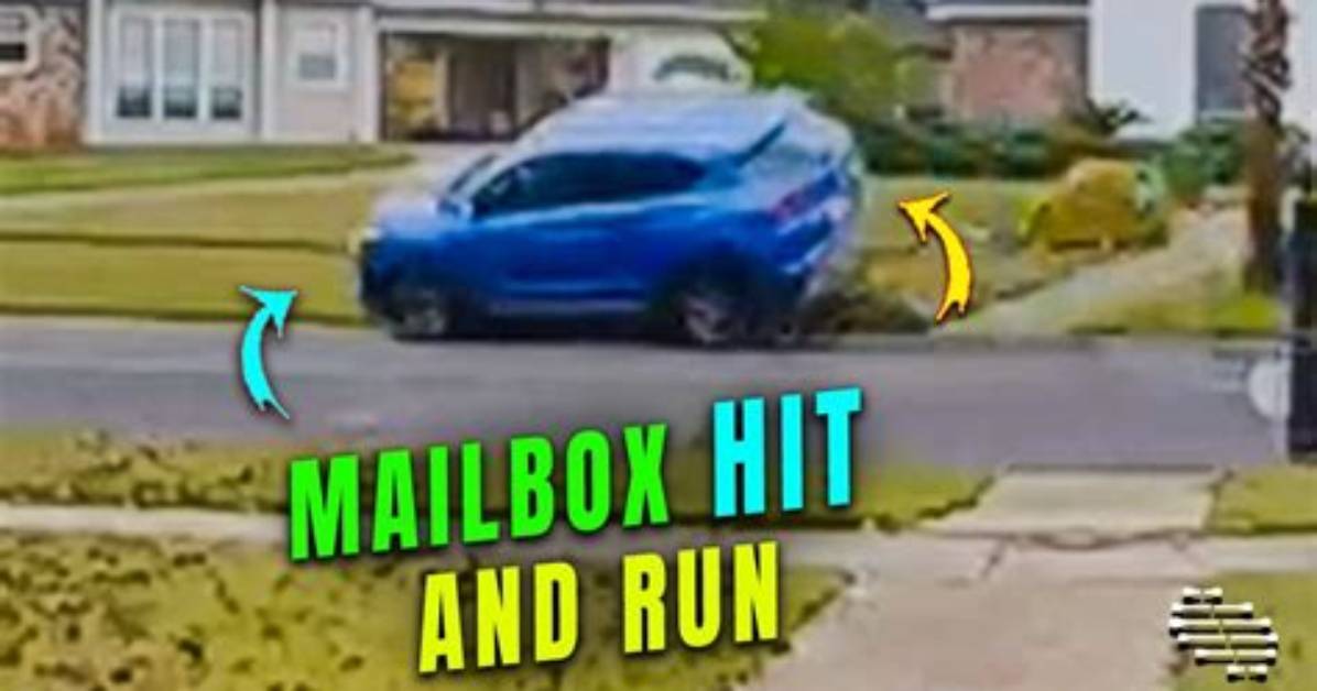 Hit Mailbox