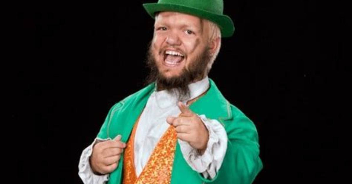 Hornswoggle Net Worth