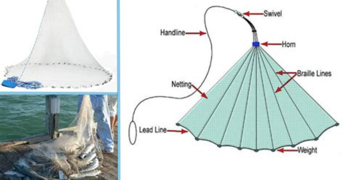 How a Cast Net Works
