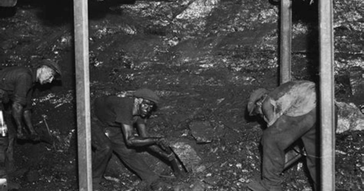 How a Coal Mine Dig Unearthed a Prehistoric Mega-Snake