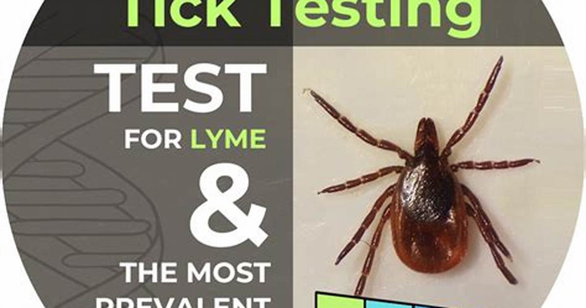 How Accurate Is Tick Testing