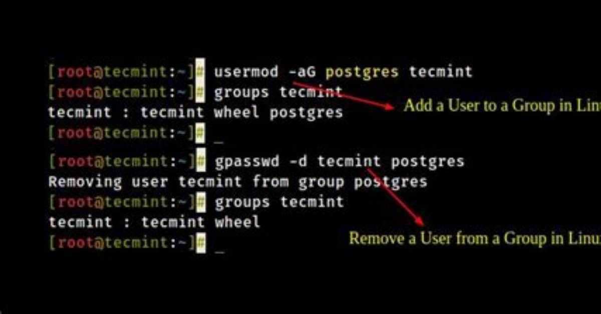 How Add and Remove User in Linux?