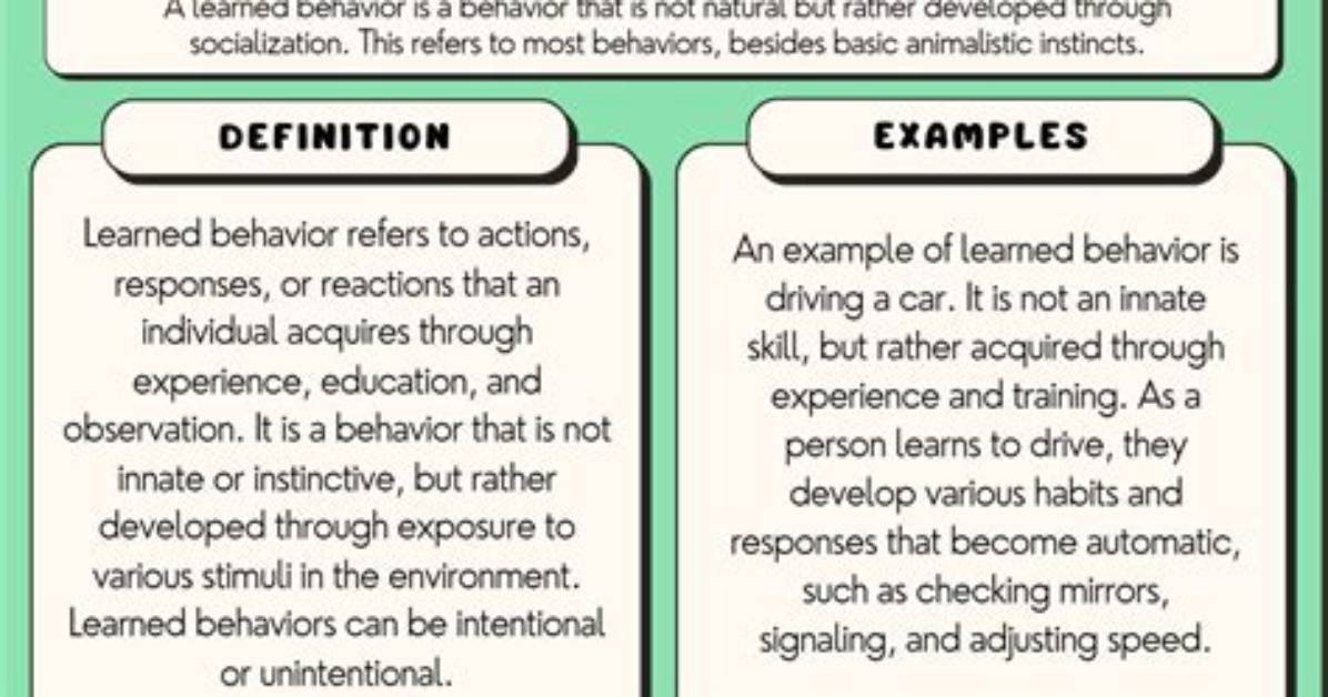How Are Behaviors Learned?