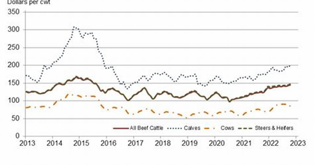 How Are Cattle Prices?