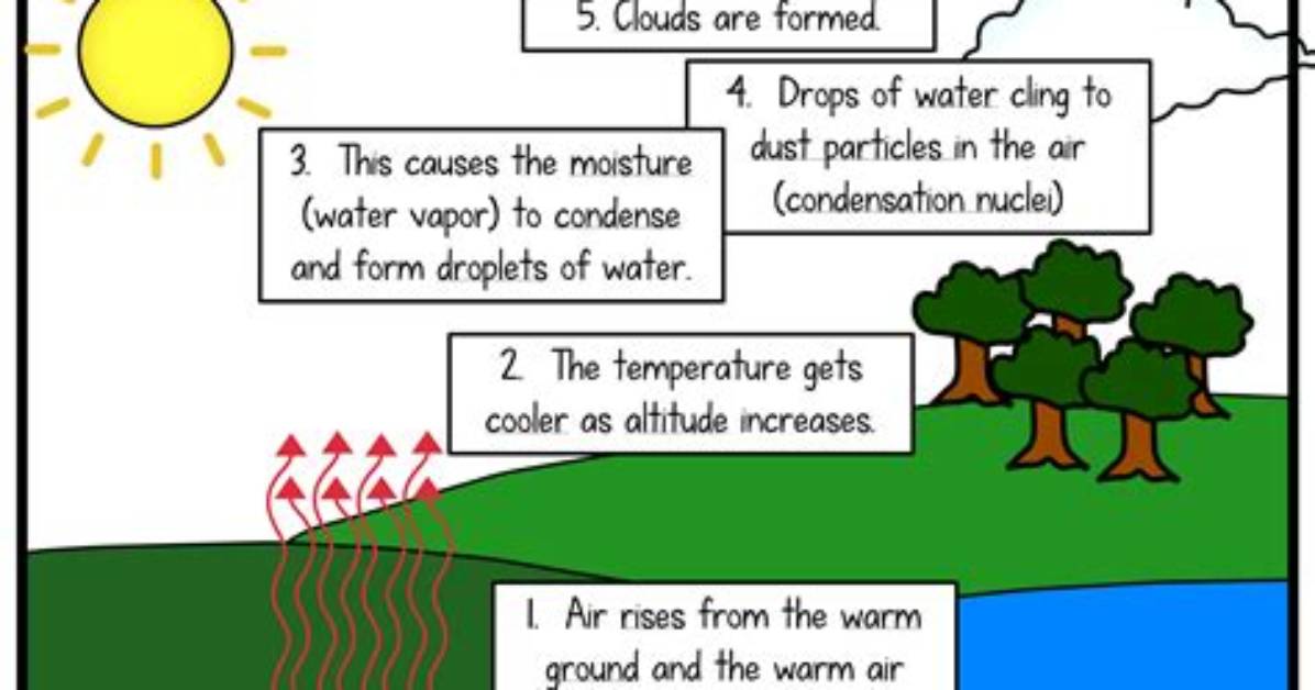 How Are Clouds Formed Short Answer
