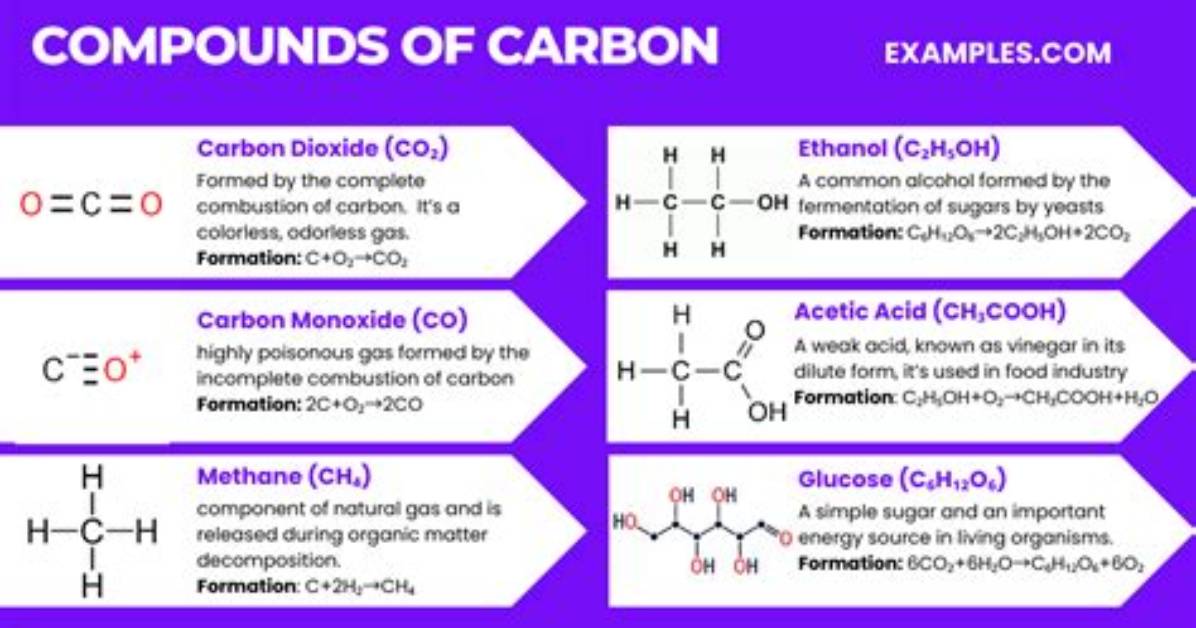 How Are Compounds Made from Carbon Unique