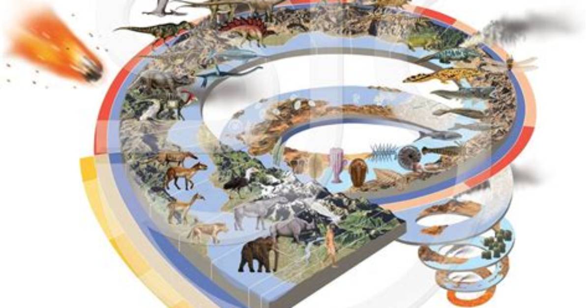 How Are Dinosaurs Dated - Lisbd-Net. Com