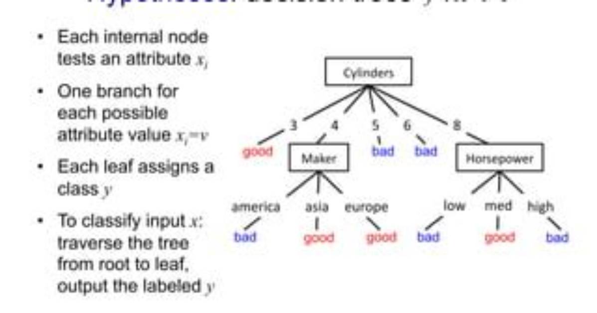 How Are Trees Hypotheses